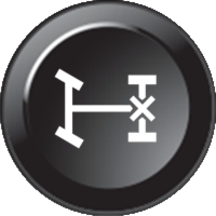 CAN Keypad Insert - Diff Lock Rear