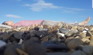 Yoga Nidra - Your Authentic Self - A must not miss Yoga Nidra