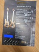 Warwick Streamer LX5 Limited Edition Guitar
