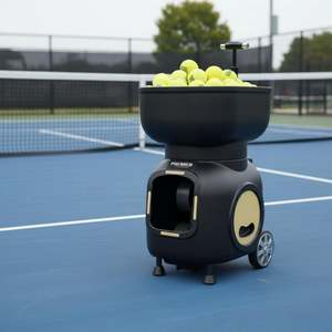 Enhancing Performance: Ace+