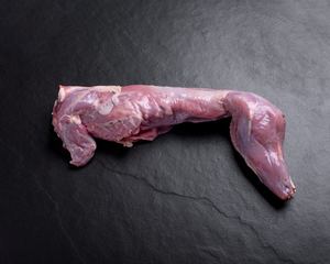 Products: Rabbit 800g-1kg - Premium Game