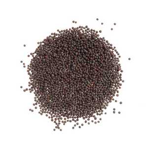 Premium Organics Mustard Seeds Black 100% Certified Organic