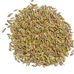 Organic Spices: Premium Organics Fennel Seeds 100% Certified Organic