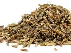 Seeds: Premium Cumin Seeds