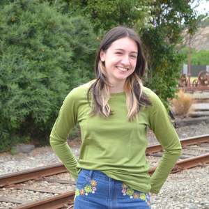 Merino T Shirt: Crew Neck Merino Top - Stone Hill - to be discontinued