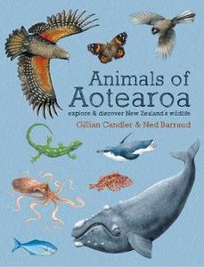 Kids Collection: Animals of Aotearoa - Explore & Discover New Zealand Wildlife