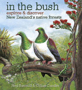 Kids Collection: In the Bush - Explore & Discover the New Zealand's Native Forests