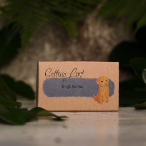 Getting Lost Game - Dad's Edition