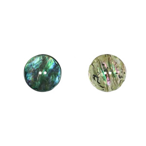 Paua Shell Buttons