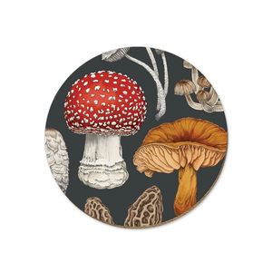 NZ Fungi Morchella - Coaster - Wolfkamp & Stone