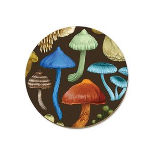 NZ Fungi Entoloma - Coaster - Wolfkamp & Stone