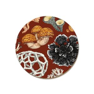 NZ Fungi Phellodon - Coaster - Wolfkamp & Stone