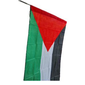 Products: Palestine Flag