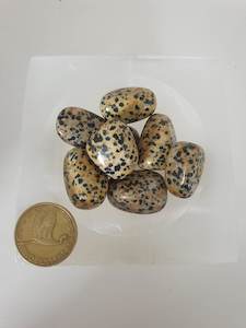 Dalmation Jasper Tumble - Random Grab Single Tumble