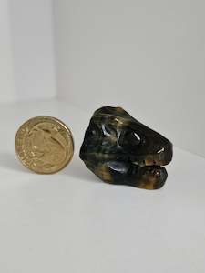 Dino Skull - Tigers Eye