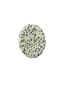 Worry Stones: Dalmation Jasper Oval Worry Stone