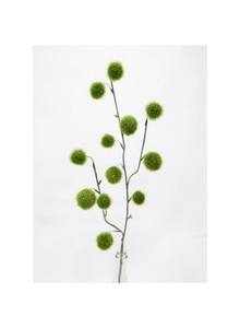 Christmas: Pom Pom Spray 79cm Green