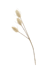 Products: Bunny Tail Pick