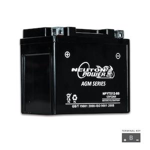 Battery: YTX12-BS 12V 12AH POWERSPORT BATTERY