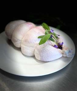 Organic Chicken Ballotine
