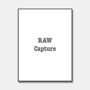 Products: RAW Capture - Print Art Fine Art Imaging