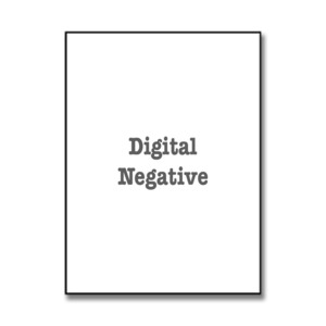 Digital Negative - Print Art Fine Art Imaging