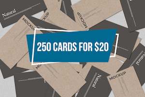 BUSINESS CARD SPECIAL - 250 SINGLE SIDED CARDS