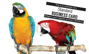 Products: Standard Business Cards – Most Cost Effective Solution - PrintPlus