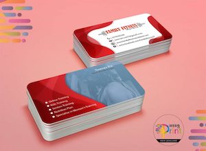 Products: Business Card – Two Sided – Print Rotorua