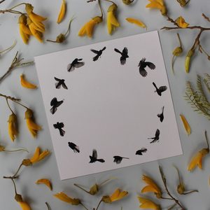 Products: Circle Fantail - Prints & Princesses