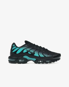 Nike Air Max Plus Black Dusty Cactus
