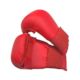 Kids Hand Mitts