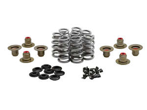 Engine: 0.640in. Valve Spring Kit. Fits Milwaukee-Eight 2017up - Kibblewhite