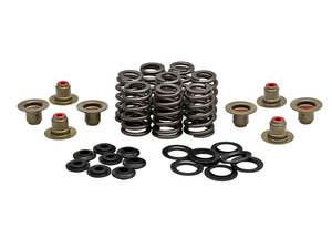 0.550in. Valve Spring Kit. Fits Milwaukee-Eight 2017up - Kibblewhite