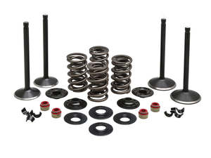Engine: Valve & Spring Engine Kit. Fits 883cc Sportster 1986-2003 - Kibblewhite