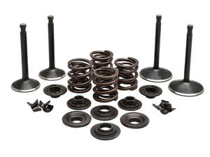 Engine: Valve & Spring Engine Kit. Fits Sportster 1957-1969 - Kibblewhite