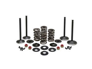 Valve & Spring Engine Kit. Fits Evolution Big Twin 1984-1999 - Kibblewhite