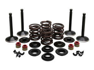Valve & Spring Engine Kit. Fits Panhead Big Twin 1948-1965 - Kibblewhite