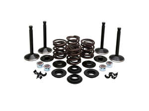 Valve & Spring Engine Kit. Fits 80ci Big Twin 1978-1984 - Kibblewhite