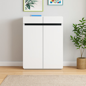 Shoe Cabinets: Padua 2-Door Shoe Cabinet