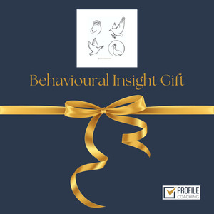 Products: The Behavioural Insight Gift Profile Coaching