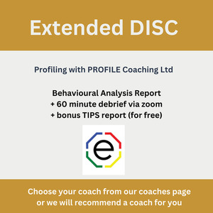 Products: 1-1 Extended DISC Profiling and Coaching Profile Coaching