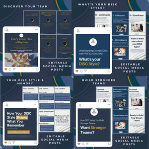 Products: 4x DISC Carousels for Social Media Profile Coaching