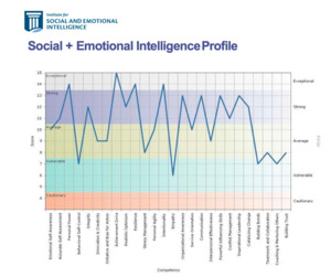 Social Emotional Intelligence Profiling Profile Coaching