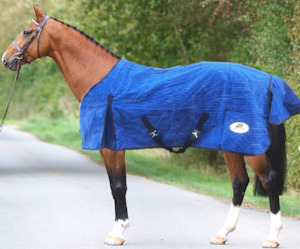 Canvas Horse Rug - Unlined