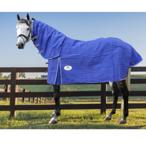 Canvas Horse Rugs: Water Resistant Canvas Combo - Lined