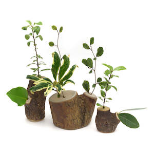 Products: STORY TREES  set of three