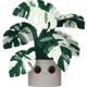 Kawaii Plants - Monstera 10" Pop! Vinyl