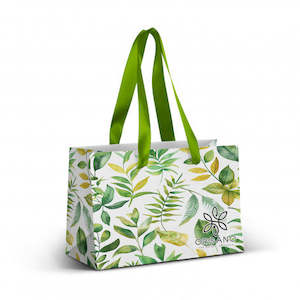 Gift Bags: Small Ribbon Handle Paper Bag - Full Colour