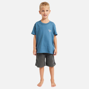 Billabong JNR Groms Crossboards Tee - Real Teal